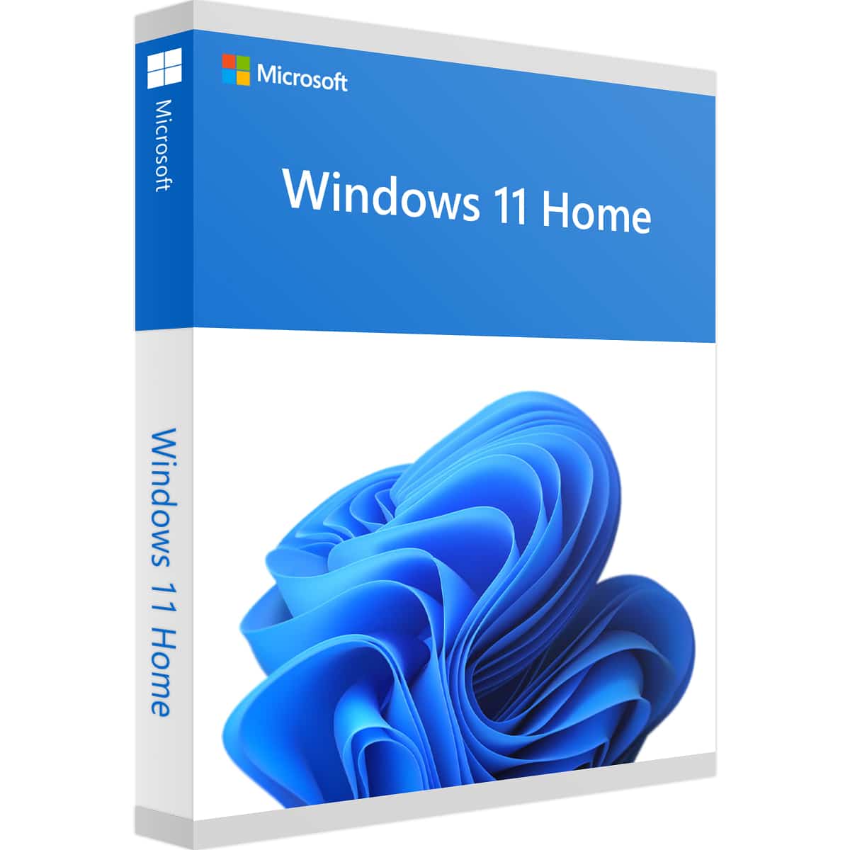 Windows 11 Pro key license - digiluxe